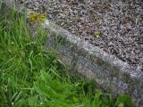 image of grave number 853406